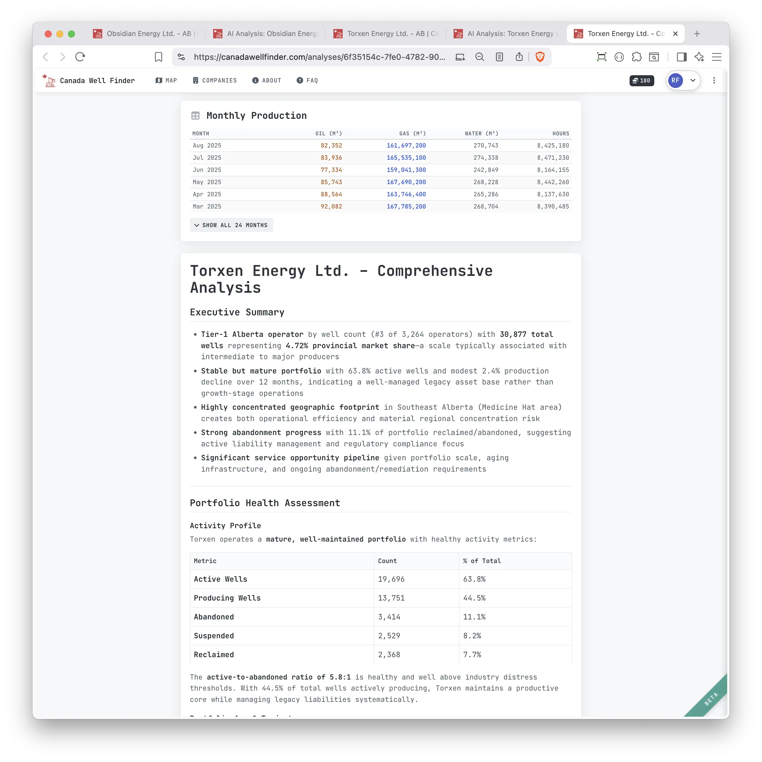 AI analysis report for an individual well showing regional context
